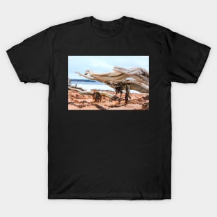 Driftwood Kraken T-Shirt